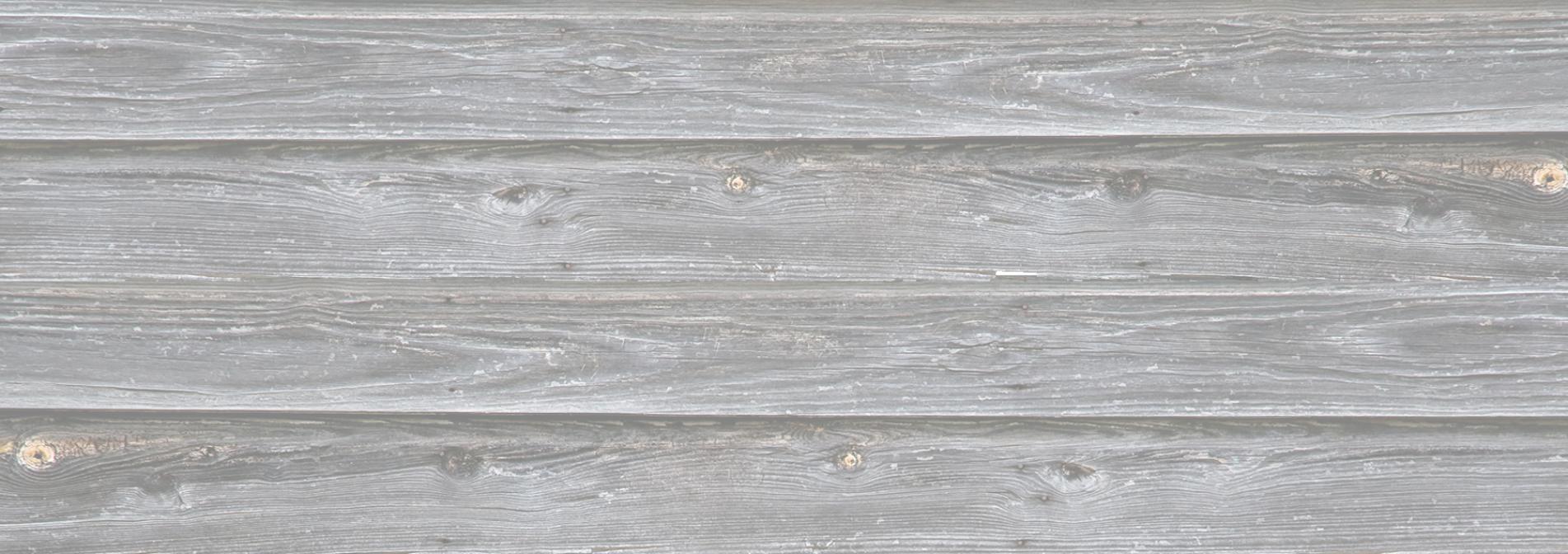 bannerbg 2