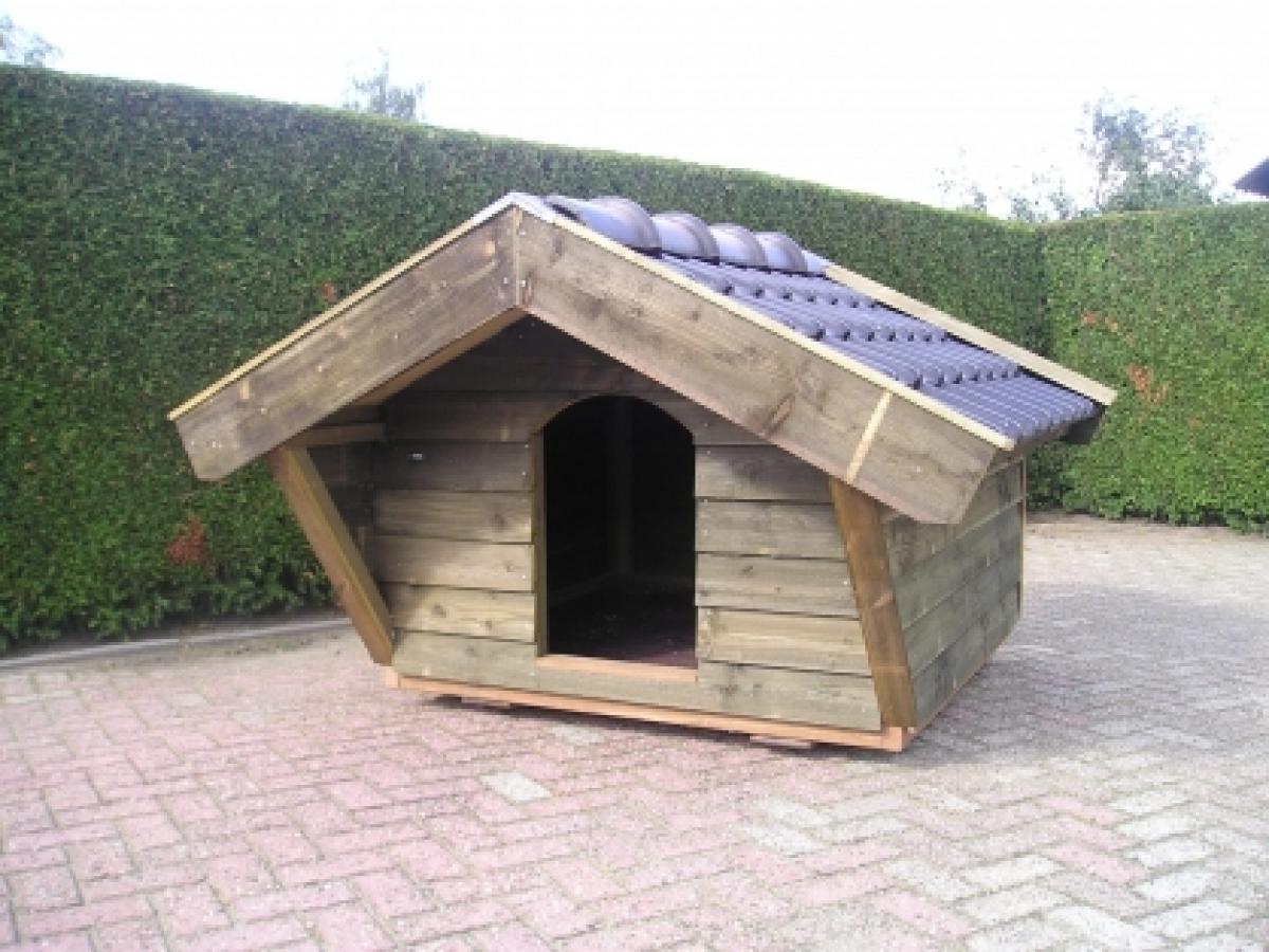 honden 110